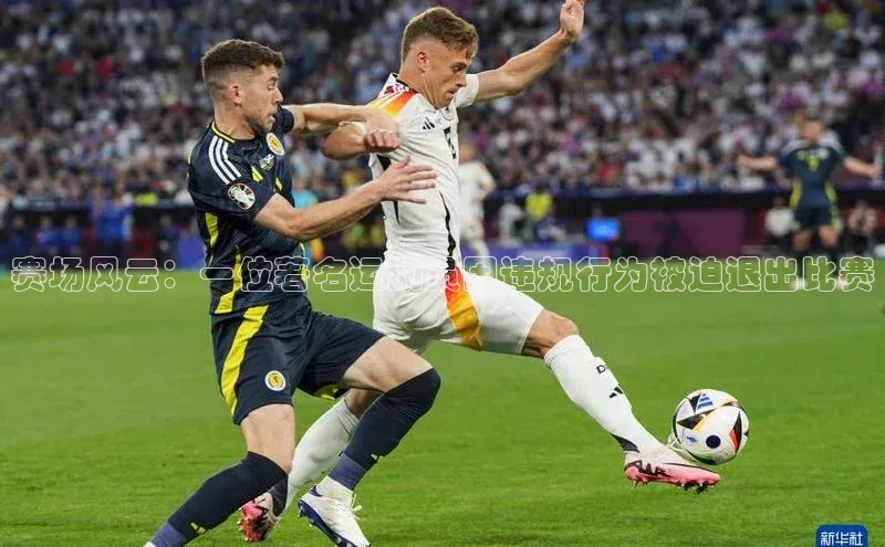 半岛·体育官网入口