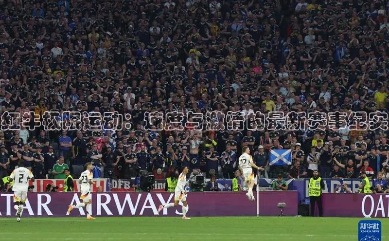 半岛·体育bob官方网