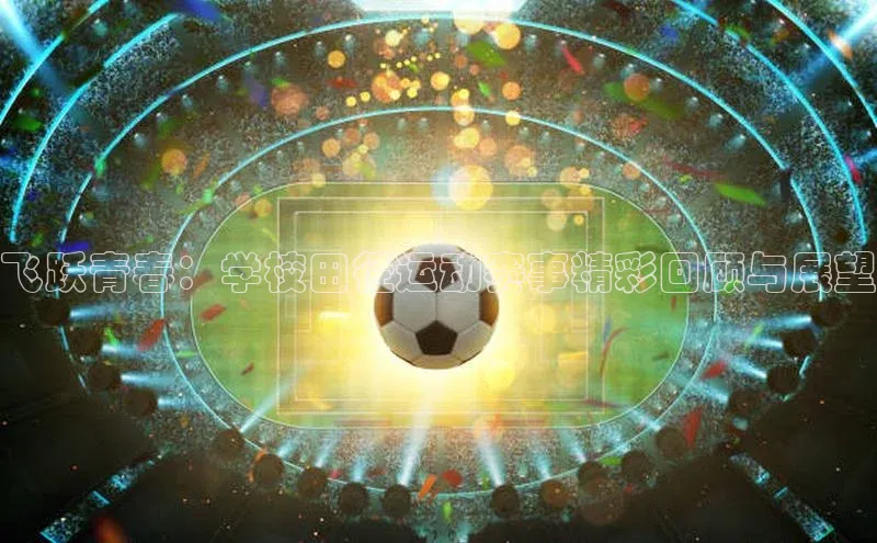 BoB半岛·体育网站