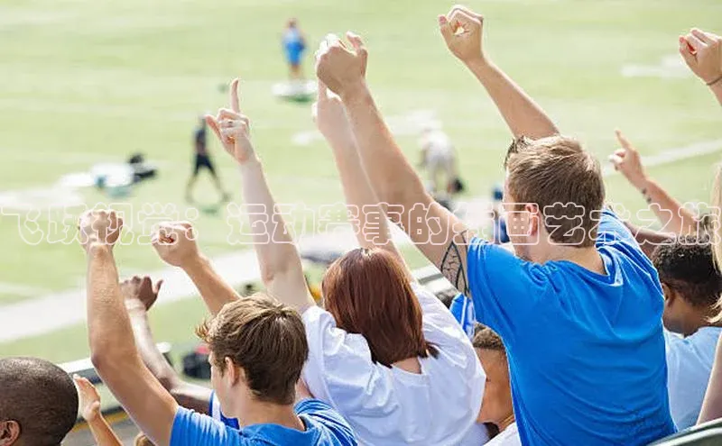 半岛·综合体育网页版