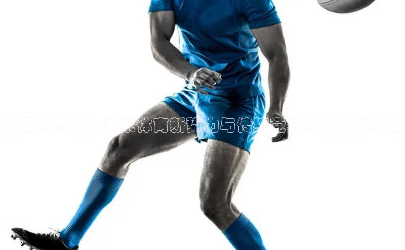 半岛·综合体育中国官网