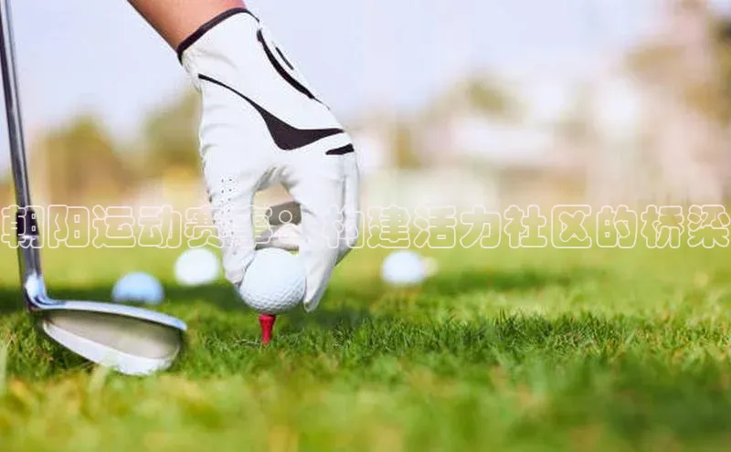 星空半岛·体育官网下载