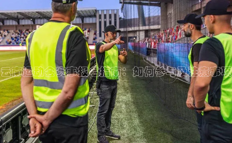 BoB半岛·体育网站