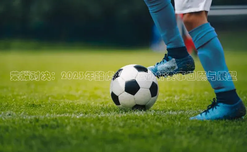 半岛·BOB官方网站