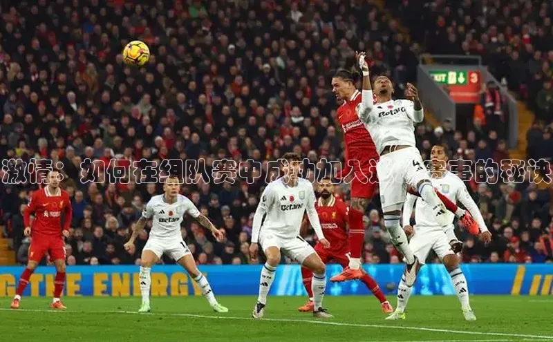 半岛·bob官方网站体育