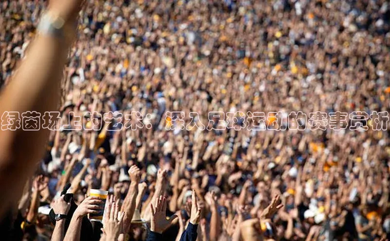 半岛·体育官网入口