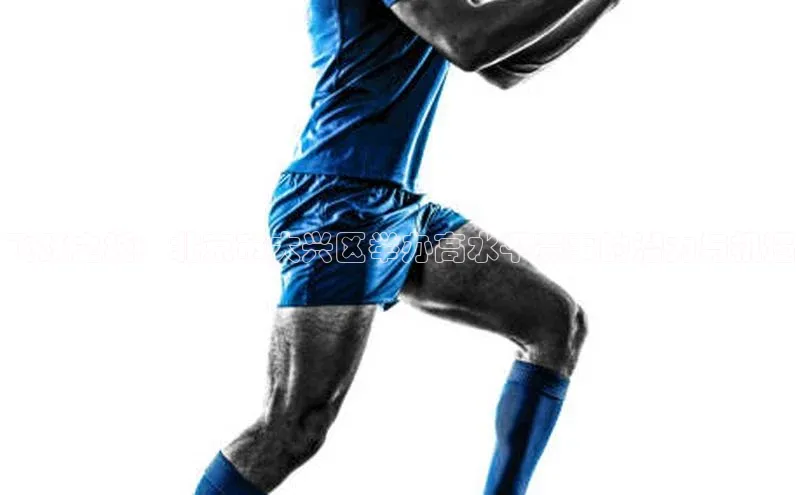 半岛·体育bob官方网