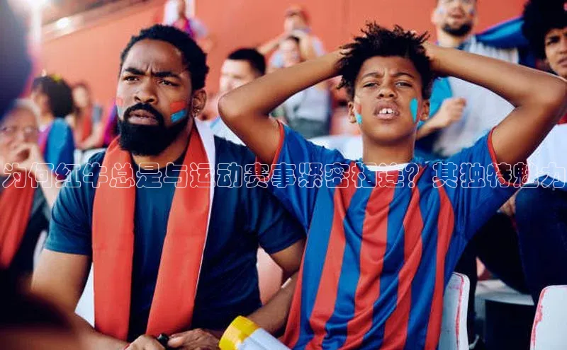 BOB半岛·体育官方网站